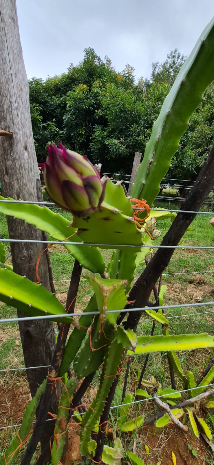 7 Bedroom Property for Sale in Modderfontein AH North West